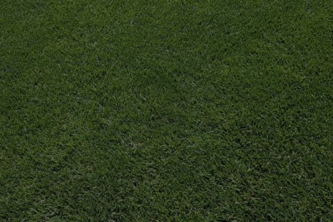 Basildon <strong>Artificial Grass & Turf </strong> Installers