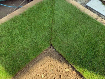 turf supplier near me Basildon