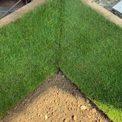 Fresh turf in Rochford