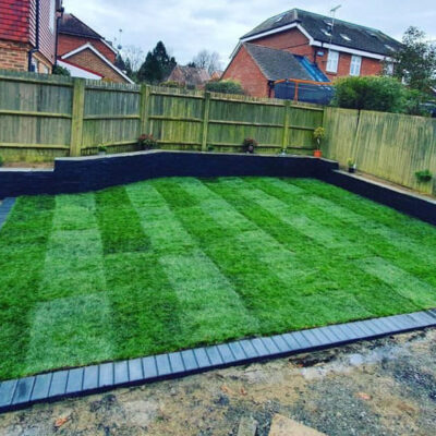 New grass Rochford